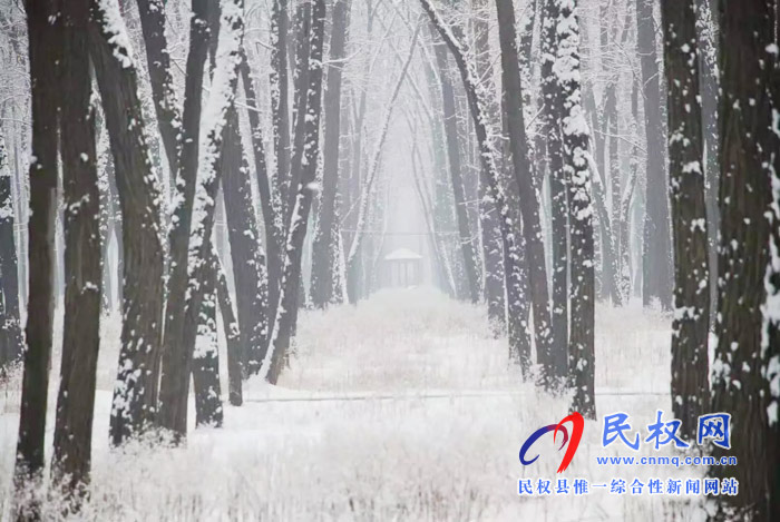 圖說(shuō)|河南民權(quán)：2020年的第一場(chǎng)雪，太美了吧!