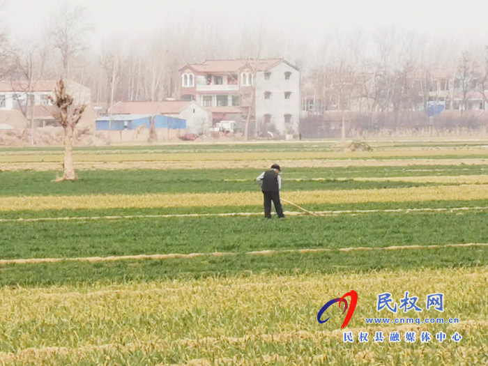 白云寺鎮(zhèn)：疫情防控和春耕生產(chǎn)兩手抓、兩不誤