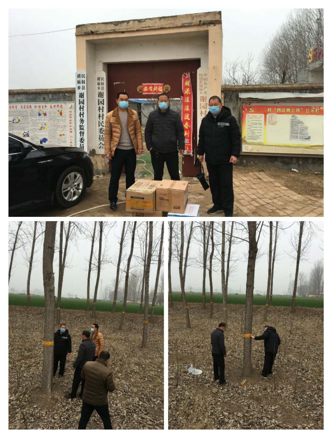 縣林業(yè)發(fā)展服務(wù)中心防疫、防治兩不誤