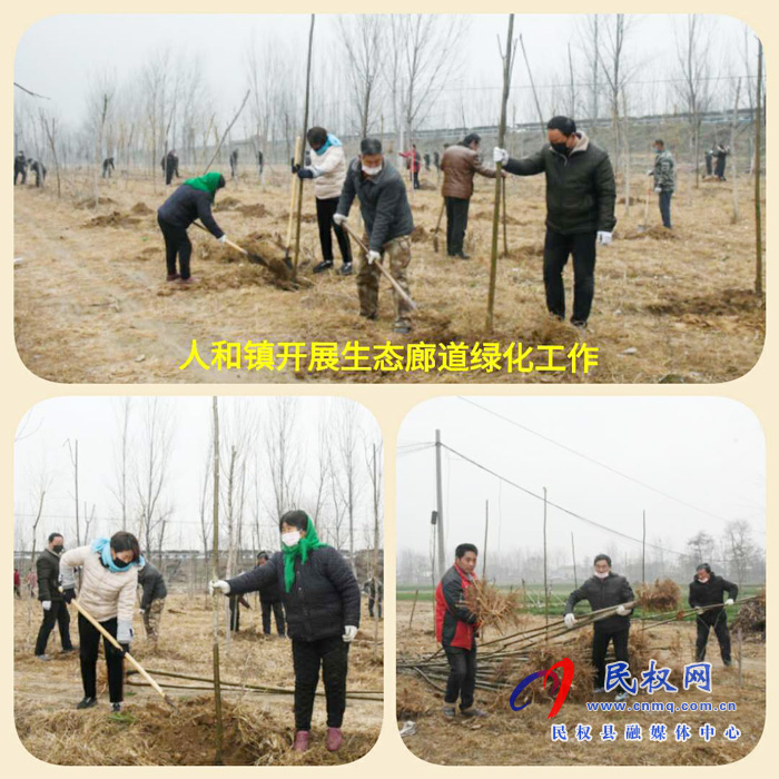 人和鎮(zhèn)開展連霍高速生態(tài)廊道綠化帶建設(shè)工作