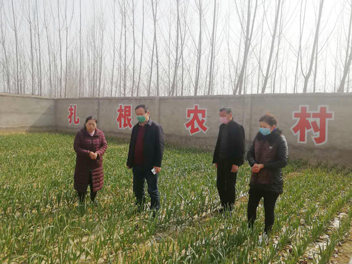 市農(nóng)村農(nóng)業(yè)局黨組成員、總農(nóng)藝師蒞民查看基層區(qū)域站服務(wù)春季農(nóng)業(yè)生產(chǎn)情況