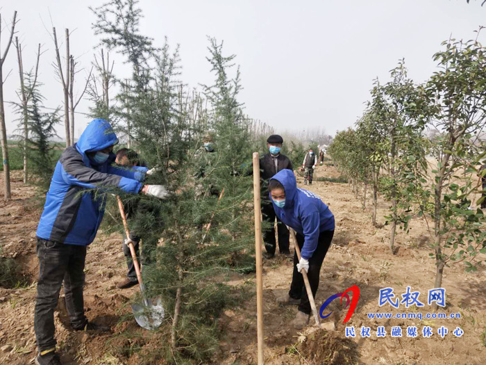 雙塔鎮(zhèn):疫情防控不松勁 植樹造林不誤時 雙塔鎮(zhèn):疫情防控不松勁 植樹造林不誤時