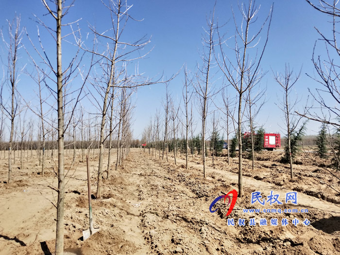 市人大常委會(huì)在民權(quán)國(guó)家森林公園舉辦民主法治生態(tài)建設(shè)主題植樹(shù)活動(dòng) 市人大常委會(huì)在民權(quán)國(guó)家森林公園舉辦民主法治生態(tài)建設(shè)主題植樹(shù)活動(dòng)