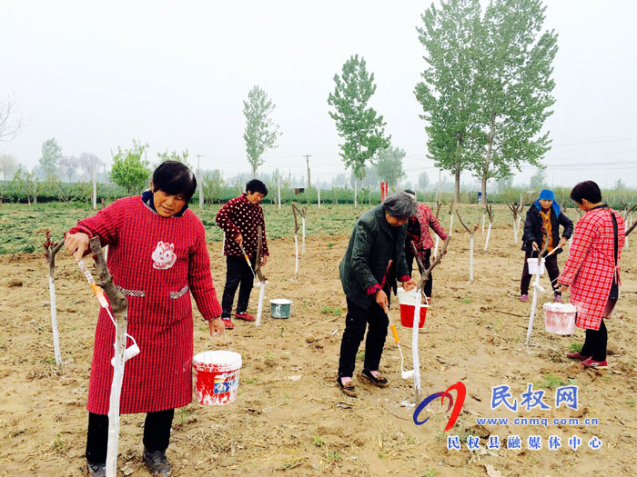 花園鄉(xiāng)加強(qiáng)樹(shù)木管護(hù)確保成活率 花園鄉(xiāng)加強(qiáng)樹(shù)木管護(hù)確保成活率