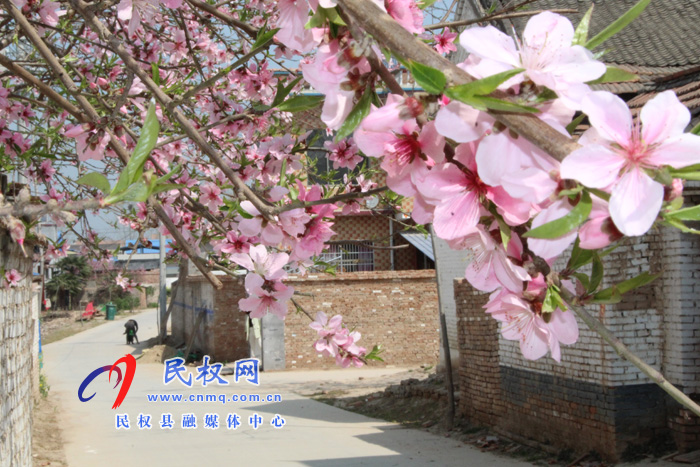 褚廟鄉(xiāng)孫坡樓村:民風環(huán)境美 農(nóng)民大變樣 褚廟鄉(xiāng)孫坡樓村:民風環(huán)境美 農(nóng)民大變樣