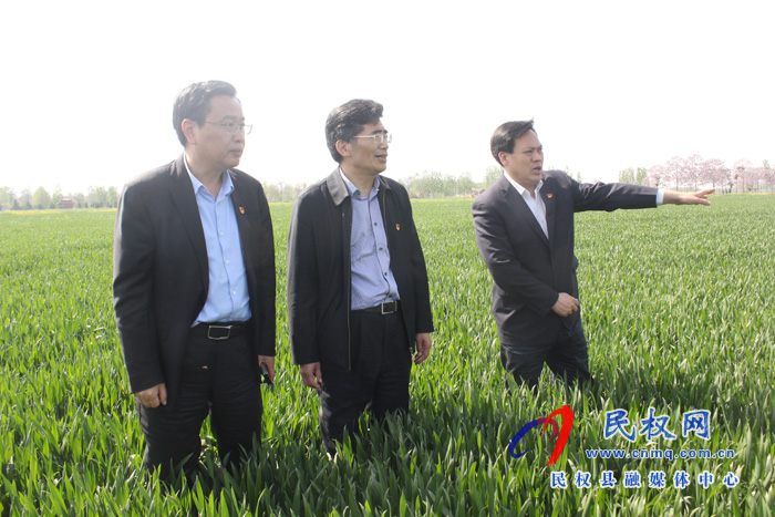 市委書記王戰(zhàn)營到我縣調(diào)研糧食生產(chǎn)工作時強調(diào):扛穩(wěn)糧食生產(chǎn)政治責(zé)任 確保奪取夏糧豐收 市委書記王戰(zhàn)營到我縣調(diào)研糧食生產(chǎn)工作時強調(diào):扛穩(wěn)糧食生產(chǎn)政治責(zé)任 確保奪取夏糧豐收