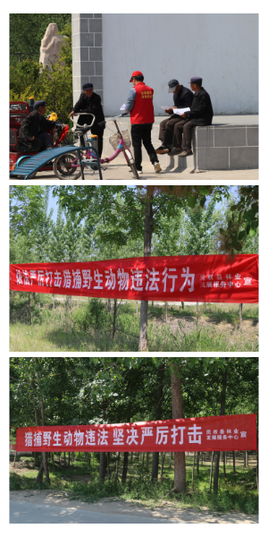 縣林業(yè)發(fā)展服務(wù)中心積極開展野生動物保護(hù)宣傳活動 縣林業(yè)發(fā)展服務(wù)中心積極開展野生動物保護(hù)宣傳活動