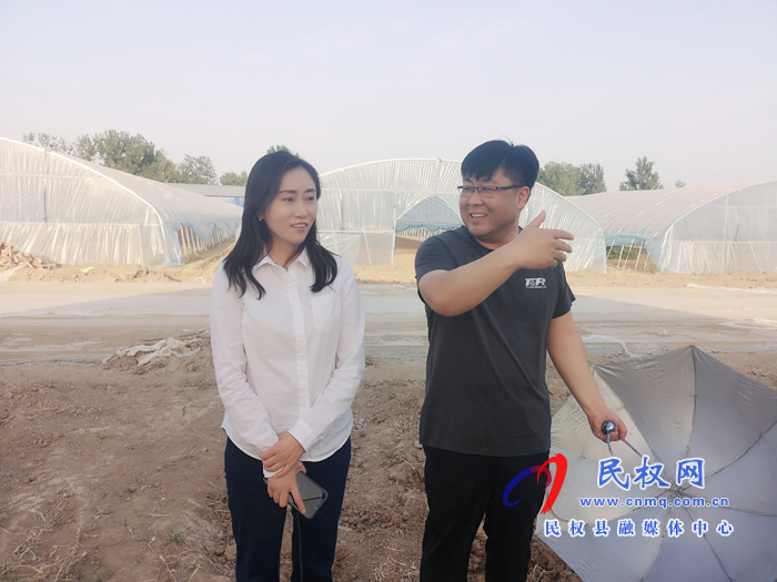 副縣長朱琳到老顏集鄉(xiāng)調(diào)研指導(dǎo)三夏生產(chǎn)、產(chǎn)業(yè)發(fā)展工作