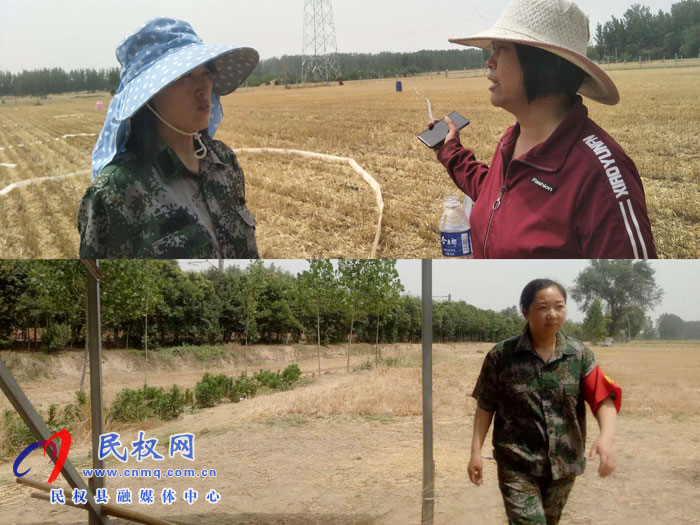 “三夏”麥?zhǔn)辗阑饝?zhàn)線上的巾幗情懷和黨性淬煉 “三夏”麥?zhǔn)辗阑饝?zhàn)線上的巾幗情懷和黨性淬煉