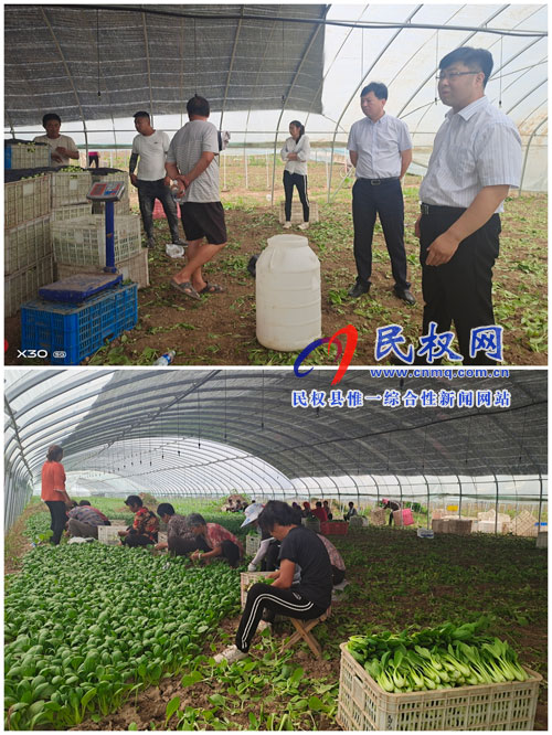 老顏集鄉(xiāng):“百業(yè)園”讓貧困群眾奔向“致富樂(lè)園” 老顏集鄉(xiāng):“百業(yè)園”讓貧困群眾奔向“致富樂(lè)園”