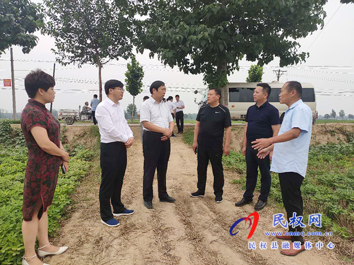 省農(nóng)業(yè)農(nóng)村廳黨組成員、總農(nóng)藝師王俊忠到我縣調(diào)研花生生產(chǎn)情況