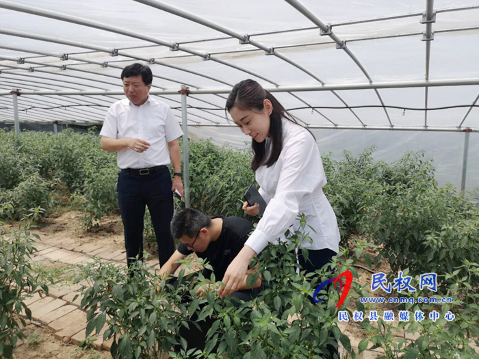 副縣長(zhǎng)朱琳到老顏集鄉(xiāng)調(diào)研指導(dǎo)扶貧工作 副縣長(zhǎng)朱琳到老顏集鄉(xiāng)調(diào)研指導(dǎo)扶貧工作