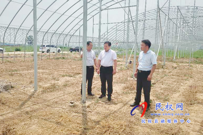 縣委常委、政法委書記、副縣長孟祥亮到雙塔鎮(zhèn)實地查看大棚種植項目建設
