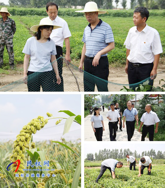 省農(nóng)機(jī)中心到我縣調(diào)研農(nóng)機(jī)化工作 省農(nóng)機(jī)中心到我縣調(diào)研農(nóng)機(jī)化工作
