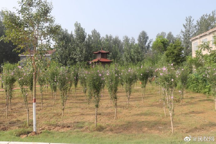 北關(guān)鎮(zhèn):建成首個(gè)鄉(xiāng)鎮(zhèn)文化體育公園 北關(guān)鎮(zhèn):建成首個(gè)鄉(xiāng)鎮(zhèn)文化體育公園