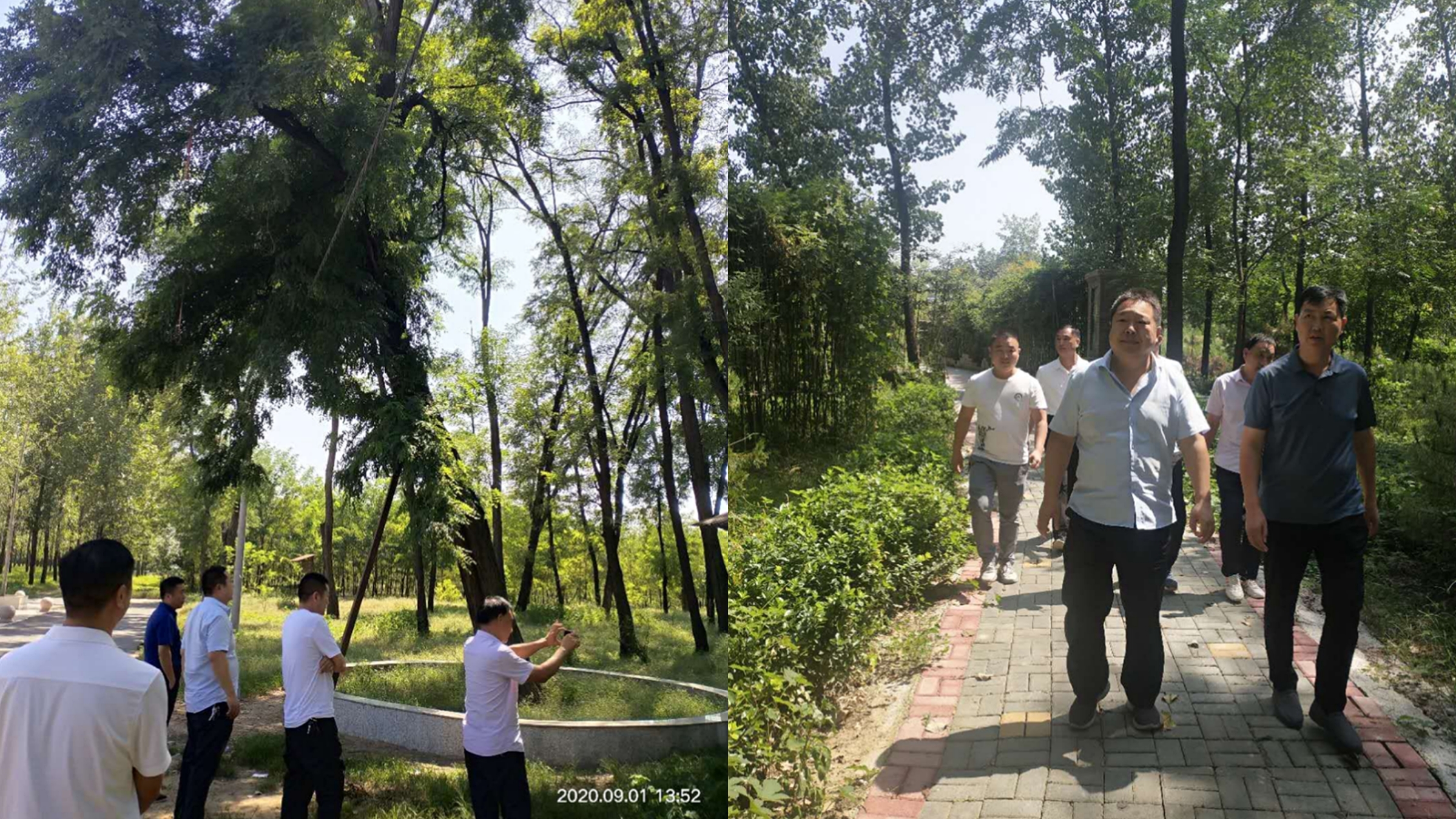 臨潁縣林業(yè)技術(shù)推廣總站站長李廣宇到我縣考察學(xué)習(xí)省級(jí)森林城市創(chuàng)建工作 臨潁縣林業(yè)技術(shù)推廣總站站長李廣宇到我縣考察學(xué)習(xí)省級(jí)森林城市創(chuàng)建工作