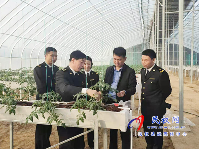 縣委常委、副縣長(zhǎng)房季到雙塔鎮(zhèn)蘆筍大棚產(chǎn)業(yè)園調(diào)研產(chǎn)業(yè)發(fā)展