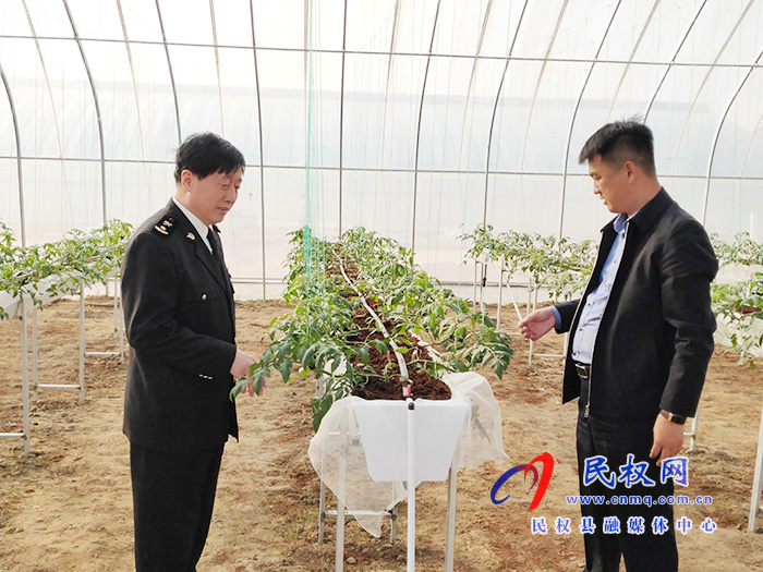 縣委常委、副縣長(zhǎng)房季到雙塔鎮(zhèn)蘆筍大棚產(chǎn)業(yè)園調(diào)研產(chǎn)業(yè)發(fā)展