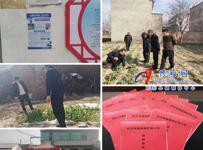 白云寺鎮(zhèn)：多措并舉全面排查，確保罌粟“零種植”