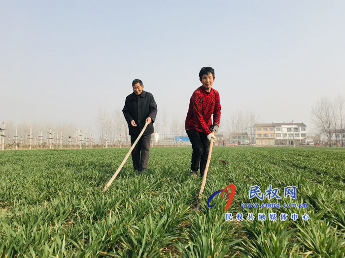 孫六鎮(zhèn)：人勤春來早 春管正當時