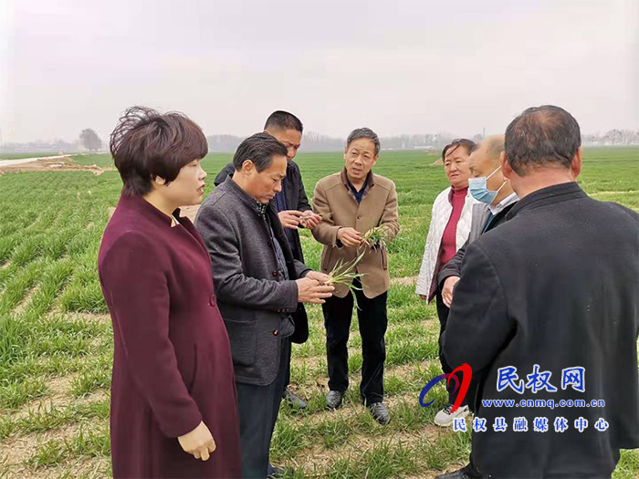 莊子鎮(zhèn)舉辦優(yōu)質(zhì)專用小麥生產(chǎn)基地項(xiàng)目技術(shù)培訓(xùn)會 莊子鎮(zhèn)舉辦優(yōu)質(zhì)專用小麥生產(chǎn)基地項(xiàng)目技術(shù)培訓(xùn)會