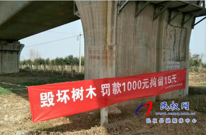 林業(yè)發(fā)展服務(wù)中心開展打擊破壞森林資源專項行動 林業(yè)發(fā)展服務(wù)中心開展打擊破壞森林資源專項行動