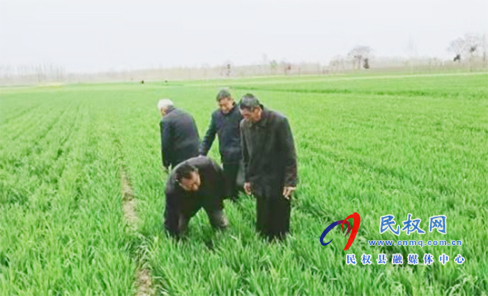 野崗鎮(zhèn):要想小麥?zhǔn)粘珊?,預(yù)防條銹赤霉少不了 野崗鎮(zhèn):要想小麥?zhǔn)粘珊茫A(yù)防條銹赤霉少不了