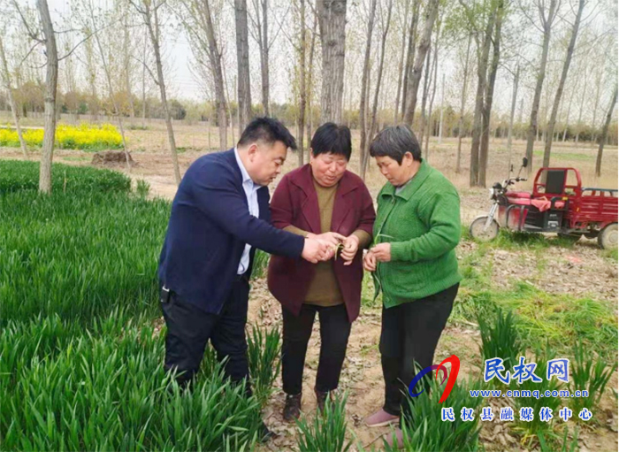 野崗鎮(zhèn):要想小麥?zhǔn)粘珊?,預(yù)防條銹赤霉少不了 野崗鎮(zhèn):要想小麥?zhǔn)粘珊?,預(yù)防條銹赤霉少不了