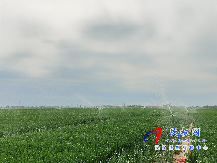 市人大常委會副主任、縣委書記姬脈常察看春季農(nóng)業(yè)生產(chǎn)及高標(biāo)準(zhǔn)糧田建設(shè)工作