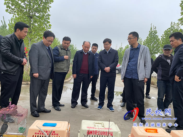 河南省2021年“愛鳥周”活動啟動儀式暨民權(quán)現(xiàn)場會在民舉行 河南省2021年“愛鳥周”活動啟動儀式暨民權(quán)現(xiàn)場會在民舉行