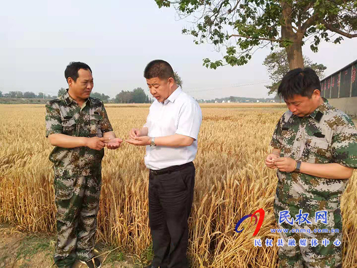 副縣長張士彬到白云寺鎮(zhèn)督導“三夏”生產(chǎn)暨秸稈禁燒工作 副縣長張士彬到白云寺鎮(zhèn)督導“三夏”生產(chǎn)暨秸稈禁燒工作