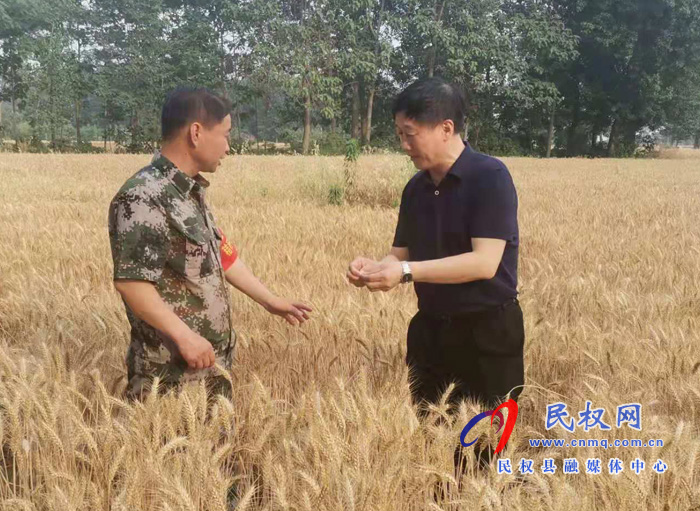 縣委常委、副縣長房季到龍?zhí)伶?zhèn)檢查督導(dǎo)三夏生產(chǎn)、秸稈禁燒工作