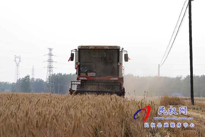 縣委副書記、縣長(zhǎng)張團(tuán)結(jié)查看“三夏”生產(chǎn)工作