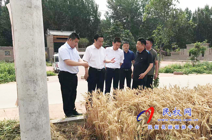 市人大常委會副主任、縣委書記姬脈常到我縣部分鄉(xiāng)鎮(zhèn)查看“三夏”生產(chǎn)工作