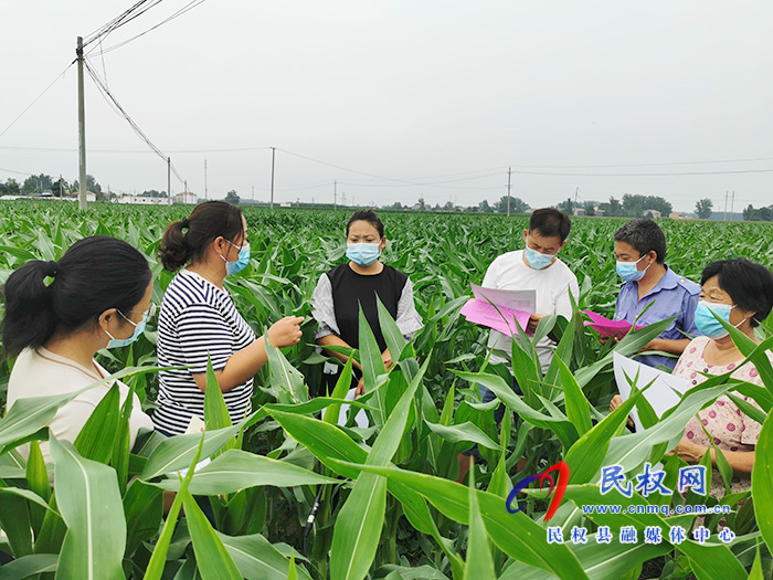 民權(quán):技術(shù)專(zhuān)家走進(jìn)田間地頭 指導(dǎo)農(nóng)民田間科學(xué)管理 民權(quán):技術(shù)專(zhuān)家走進(jìn)田間地頭 指導(dǎo)農(nóng)民田間科學(xué)管理