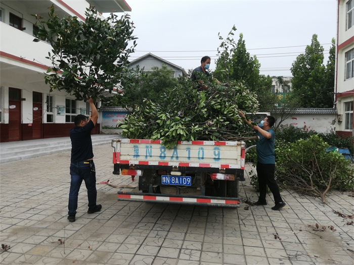 民權(quán)縣第三小學(xué)積極做好夏季防汛救災(zāi)準備工作 民權(quán)縣第三小學(xué)積極做好夏季防汛救災(zāi)準備工作