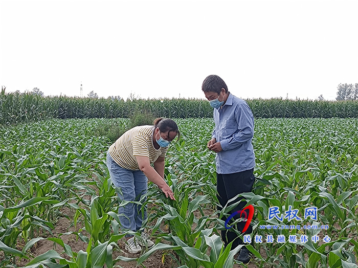 草地貪夜蛾入侵 我縣農(nóng)業(yè)部門(mén)緊急行動(dòng)組織防控?? 草地貪夜蛾入侵 我縣農(nóng)業(yè)部門(mén)緊急行動(dòng)組織防控??