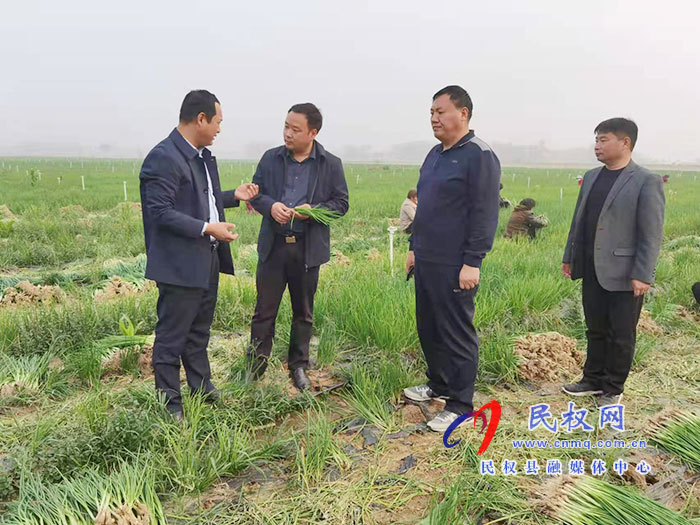 副縣長李衛(wèi)政到白云寺鎮(zhèn)調(diào)研土地流轉(zhuǎn)和高標準良田建設工作