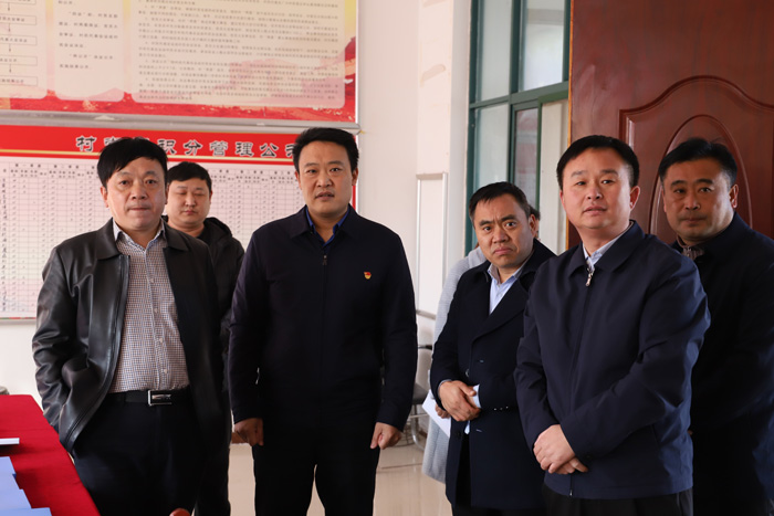 縣委常委、組織部長王義彬到林七鄉(xiāng)調(diào)研督導(dǎo)鞏固拓展脫貧攻堅成果后評估工作