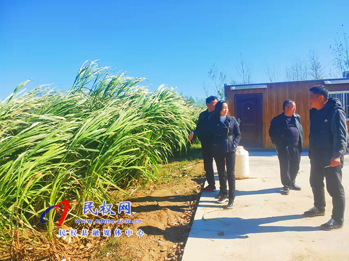 副縣長(zhǎng)朱琳到老顏集鄉(xiāng)調(diào)研撤村并居、產(chǎn)業(yè)發(fā)展等工作