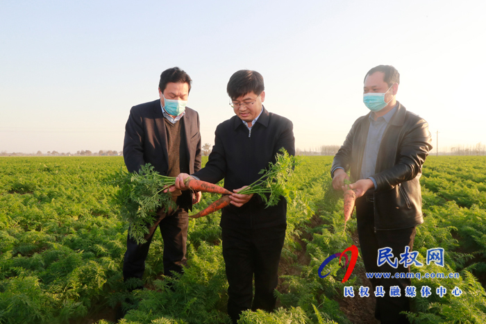 縣委書記張團(tuán)結(jié)調(diào)研鄉(xiāng)村振興產(chǎn)業(yè)發(fā)展工作