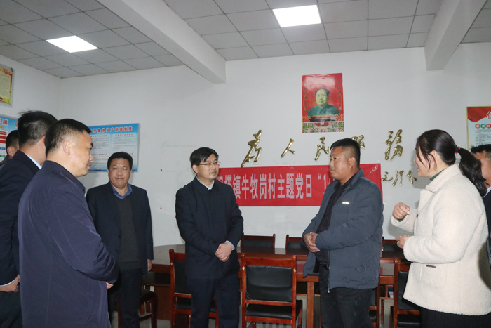 縣委書記張團結(jié)調(diào)研指導(dǎo)鞏固拓展脫貧攻堅成果后評估工作