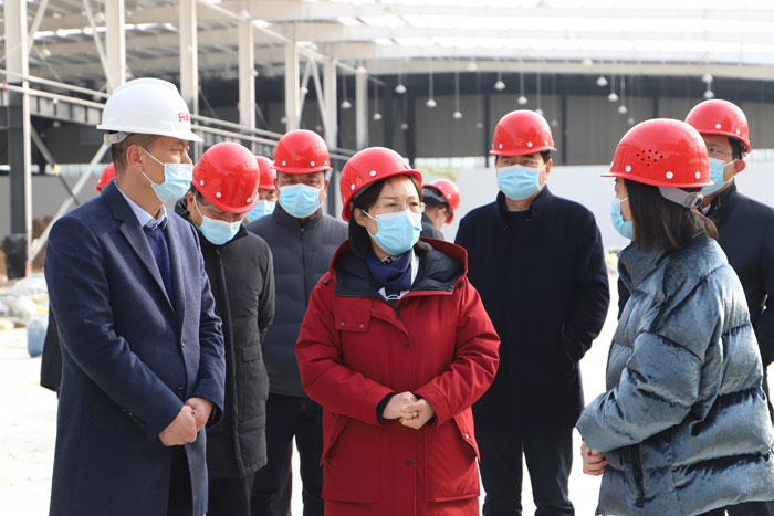 縣委副書記、縣長王靜嫻調研企業(yè)建設進展情況