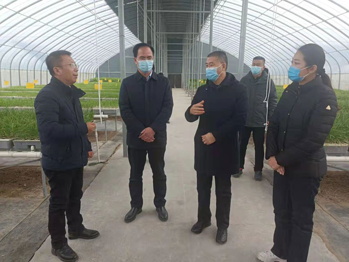 市農(nóng)業(yè)農(nóng)村局二級(jí)巡視員孟偉到民調(diào)研農(nóng)業(yè)農(nóng)村重點(diǎn)工作