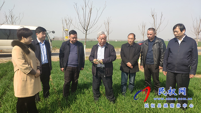 省農(nóng)業(yè)農(nóng)村廳黨組成員、副廳長王俊忠到民調研春季麥田管理工作