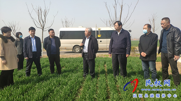 省農(nóng)業(yè)農(nóng)村廳黨組成員、副廳長王俊忠到民調研春季麥田管理工作