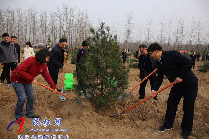 縣四大家領導義務植樹再添新綠