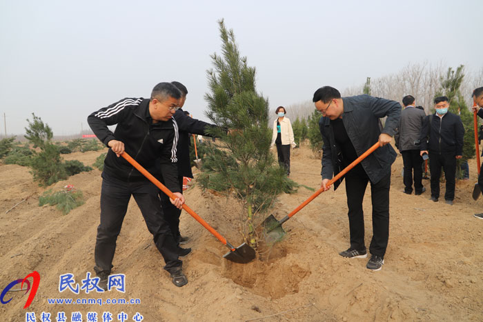 縣四大家領導義務植樹再添新綠