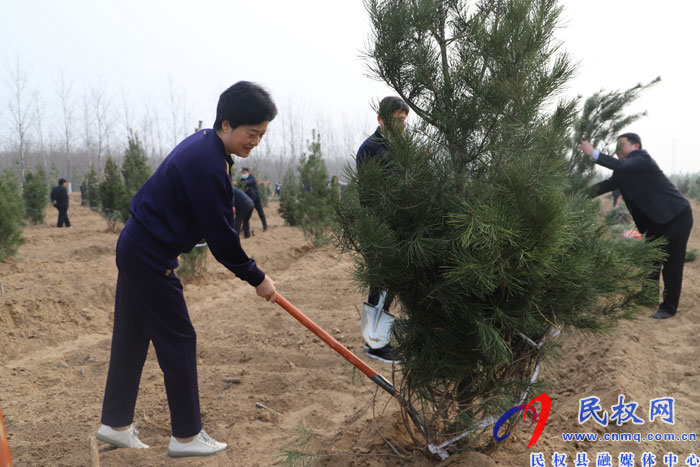 縣四大家領導義務植樹再添新綠