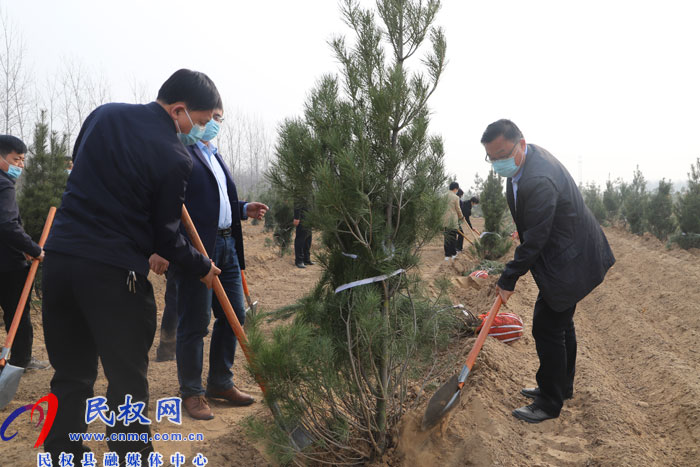 縣四大家領導義務植樹再添新綠